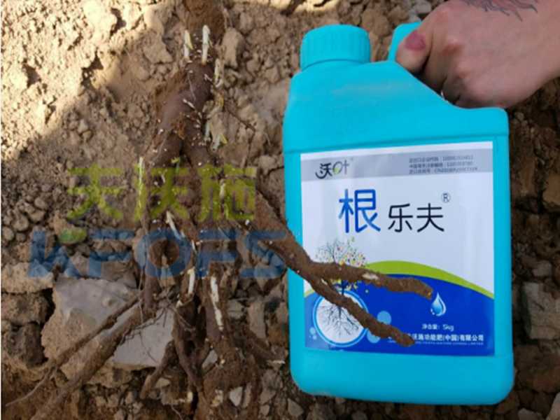 水溶肥越來越難做，他竟然能如此輕松？讓我們一探究竟！