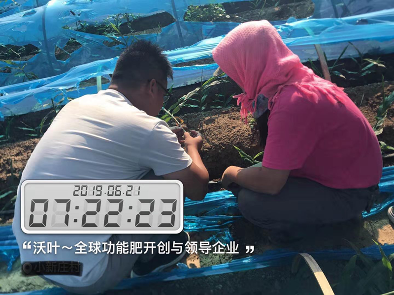 農(nóng)資銷售的堅硬壁壘將如何打破！.png