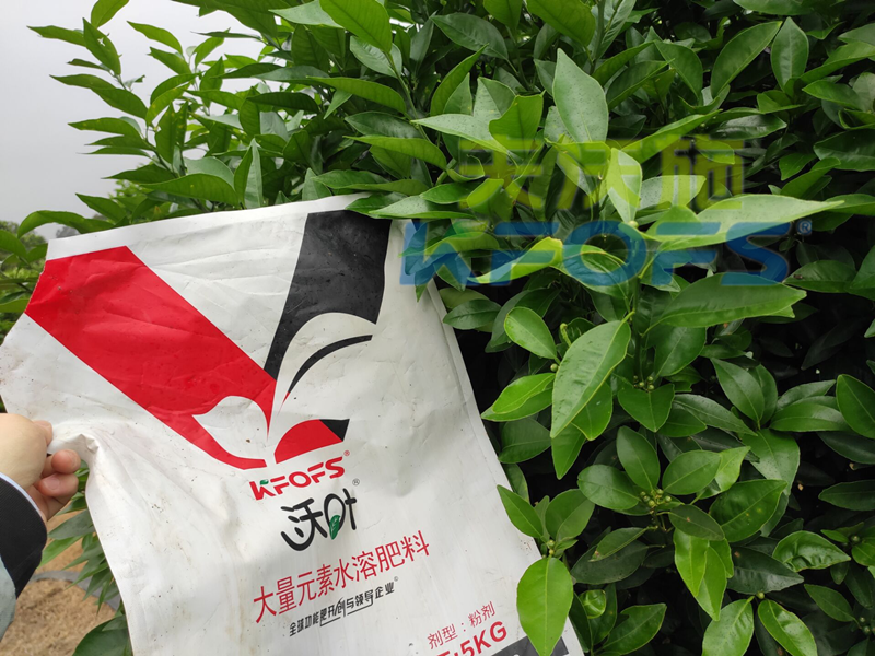 水溶肥的利弊，你了解多少？