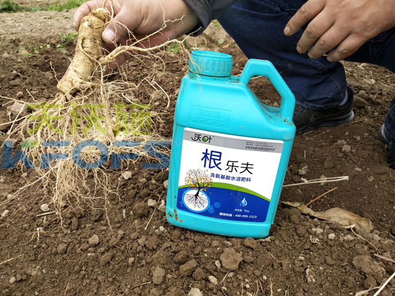 沃葉水溶肥怎么樣？聽聽種植戶的回答