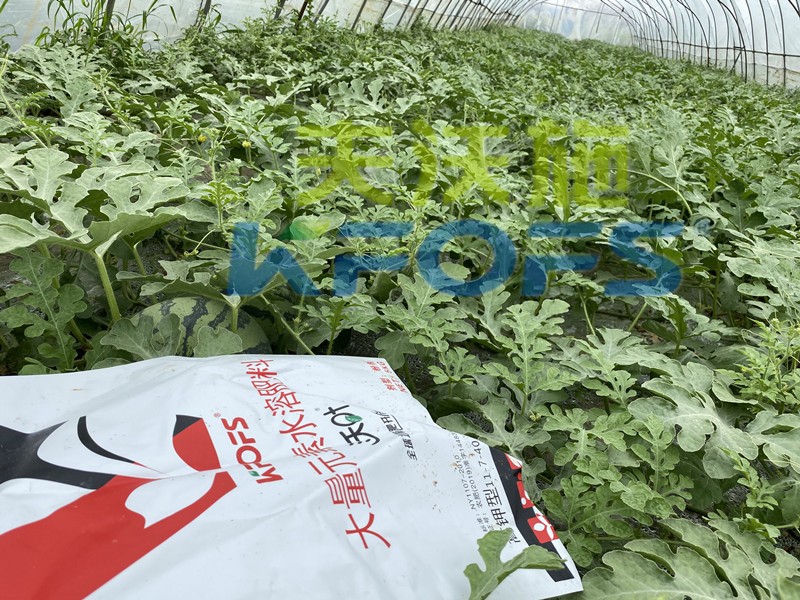 沃葉水溶肥怎么樣？這么多種植戶選擇