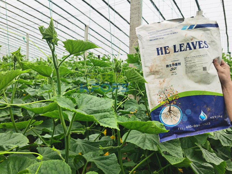微生物菌劑哪個(gè)牌子好？莊總只認(rèn)可這款！