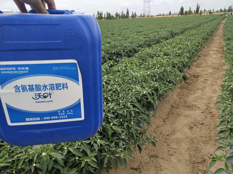 沖施肥的施用技巧有哪些？