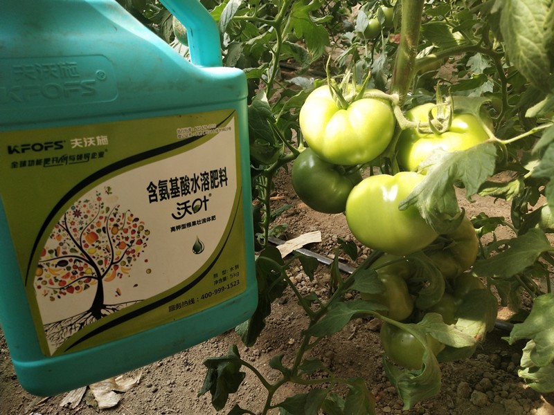 水溶肥哪個(gè)品牌好？看種植戶怎么說(shuō)！