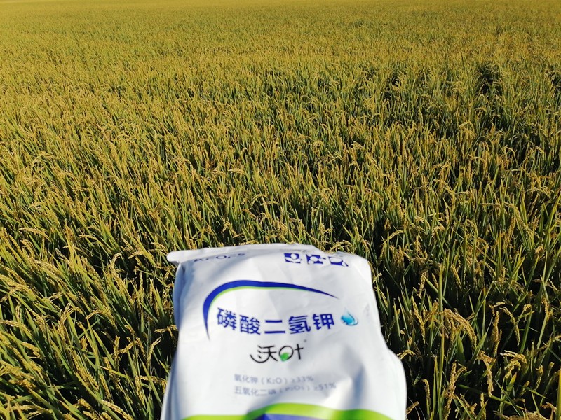 三分鐘看懂磷酸二氫鉀哪個(gè)品牌好！