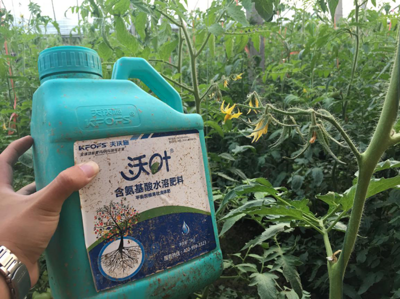 水溶肥如何在冬季使用？