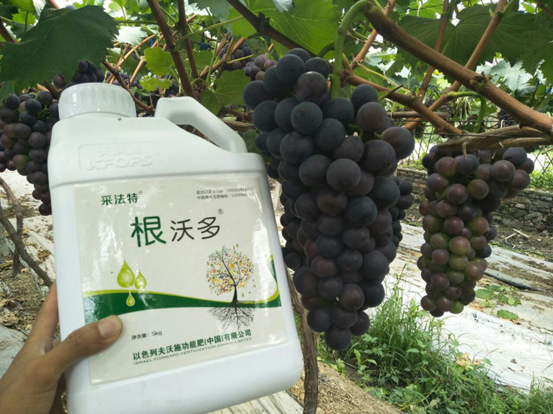 生根劑哪個(gè)好？養(yǎng)根護(hù)根很關(guān)鍵！