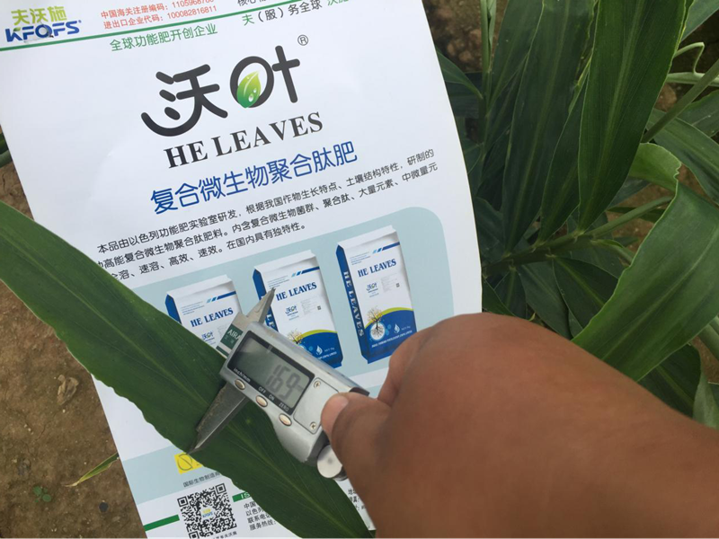 都說微生物菌劑好，到底有啥用
