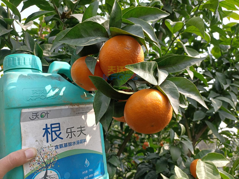 果樹(shù)春季施肥最佳時(shí)間，要把握住！