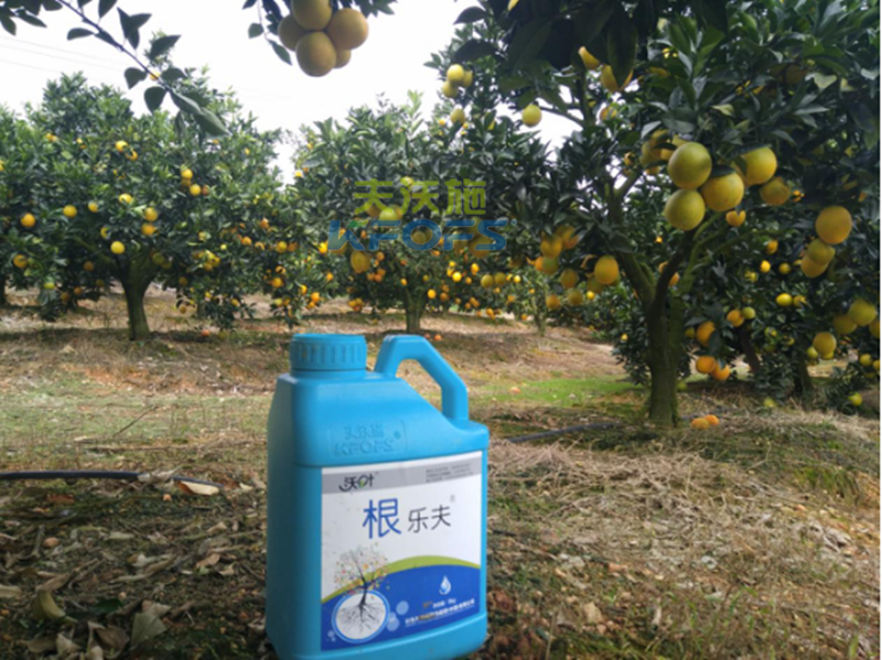 如何正確使用生根劑？
