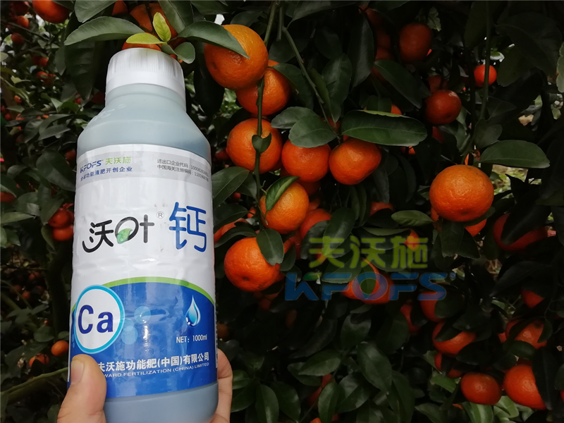 種柑橘用什么肥料好？