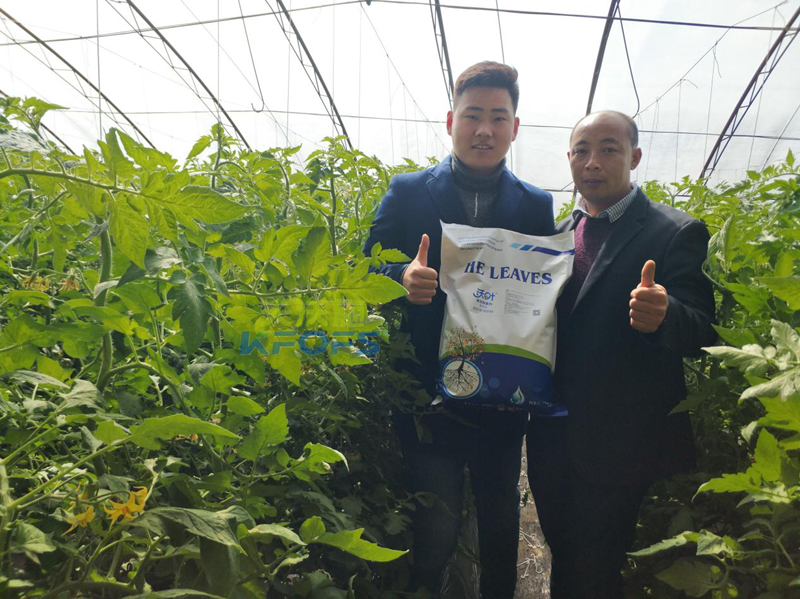 50年后的土壤如何，值得我們深思!