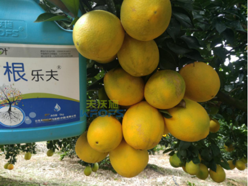 果樹沖施肥的方法和時(shí)間？