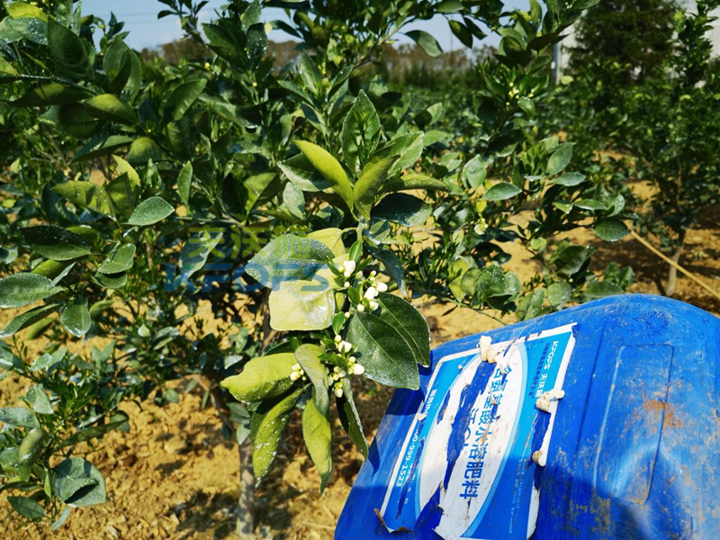 什么叫有機(jī)水溶肥？夫沃施科普