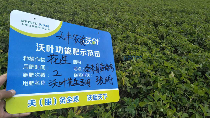 花生增產葉面肥用哪些.png