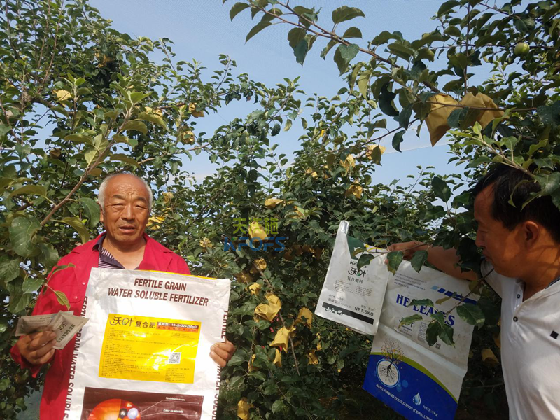 蘋果樹施什么肥好？