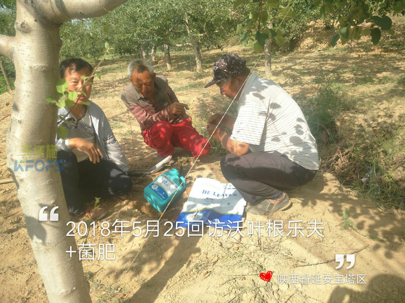 生根劑使用方法！