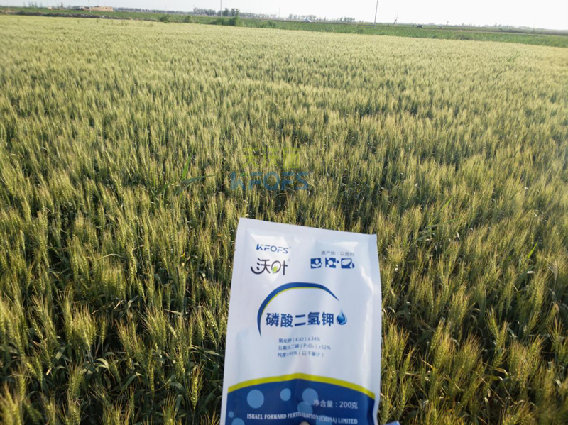 磷酸二氫鉀哪個品牌好？