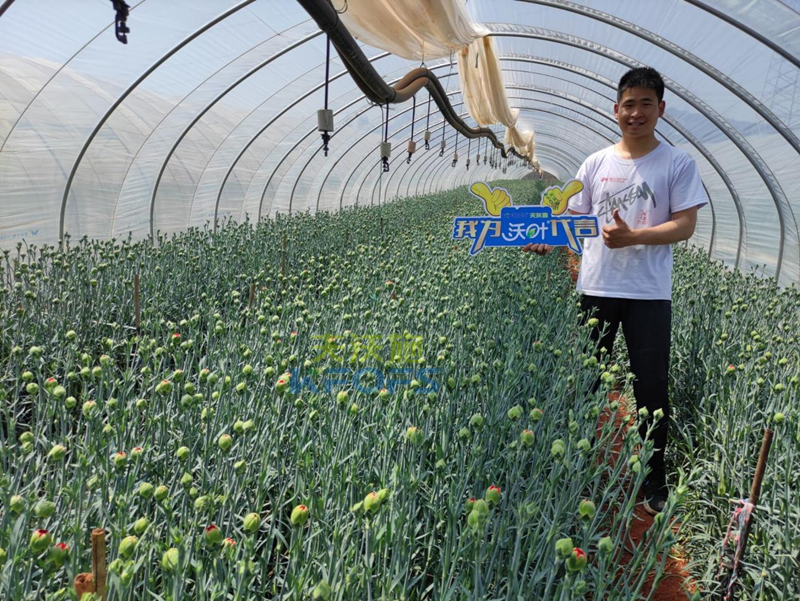 進口水溶肥怎么選？王總的答案！