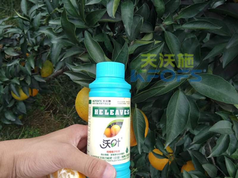 葉面肥能預防作物早衰嗎？1.png