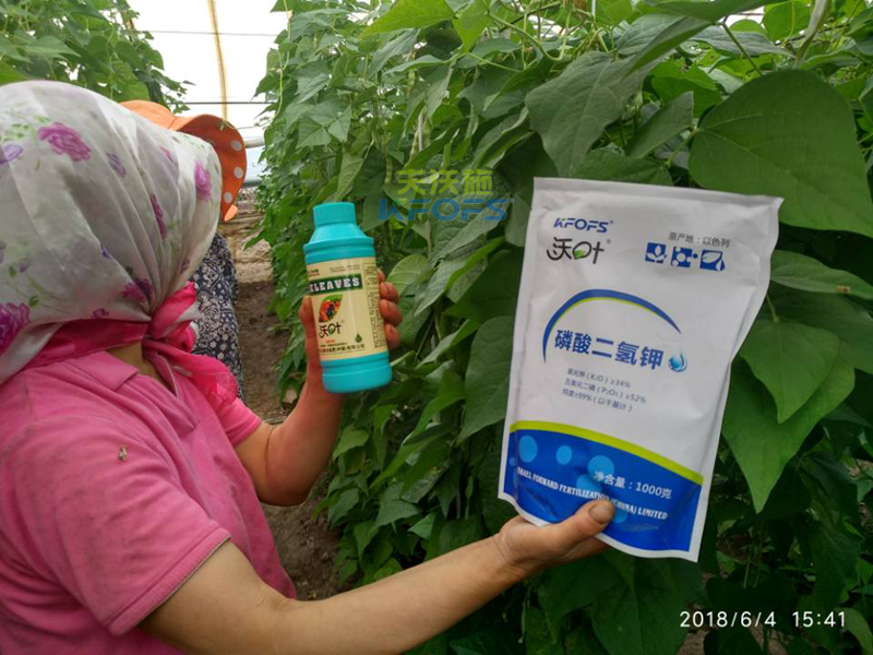 豆角需要什么樣的沖施肥？