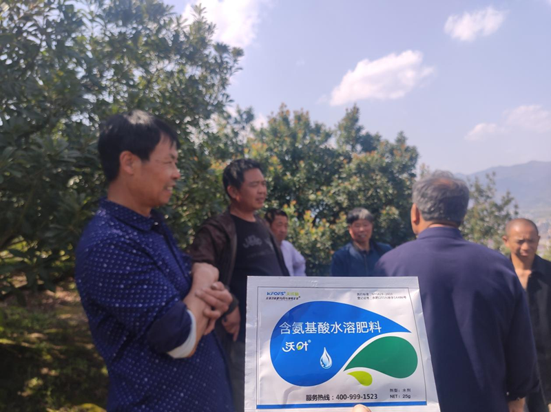 楊梅噴什么水溶肥好？