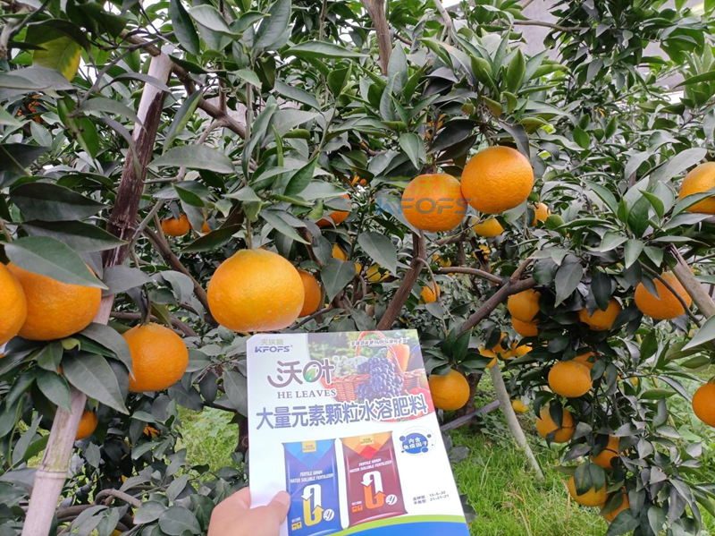 水溶肥可以直接撒施嗎？