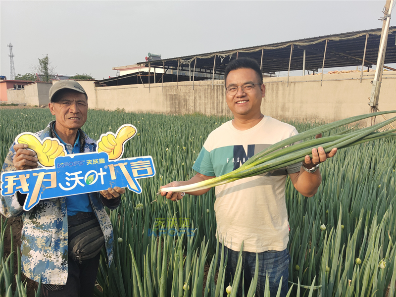 進(jìn)口水溶肥以色列夫沃施，讓更多人受益！