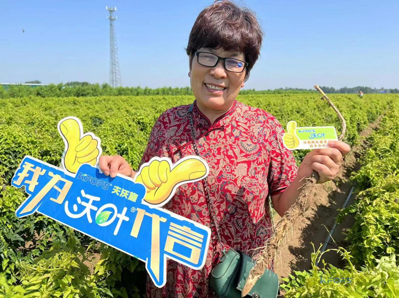 改良土壤肥料有哪些？夫沃施功能肥