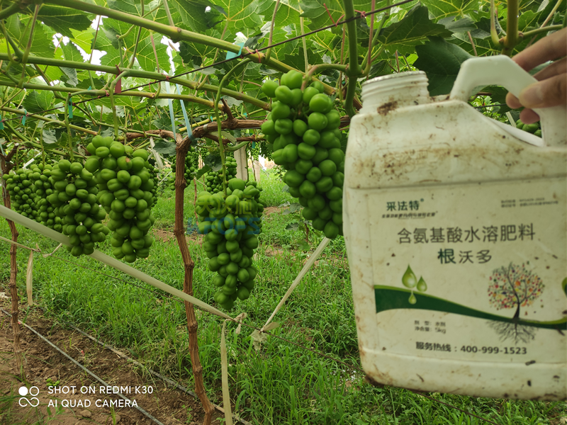水溶肥怎么選？夫沃施告訴你這幾點(diǎn)