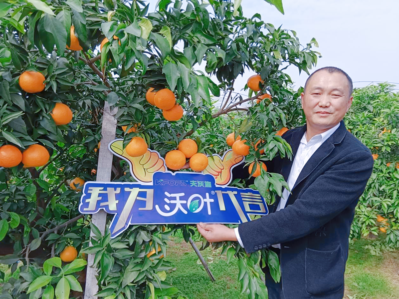 柑橘樹用什么肥料好？