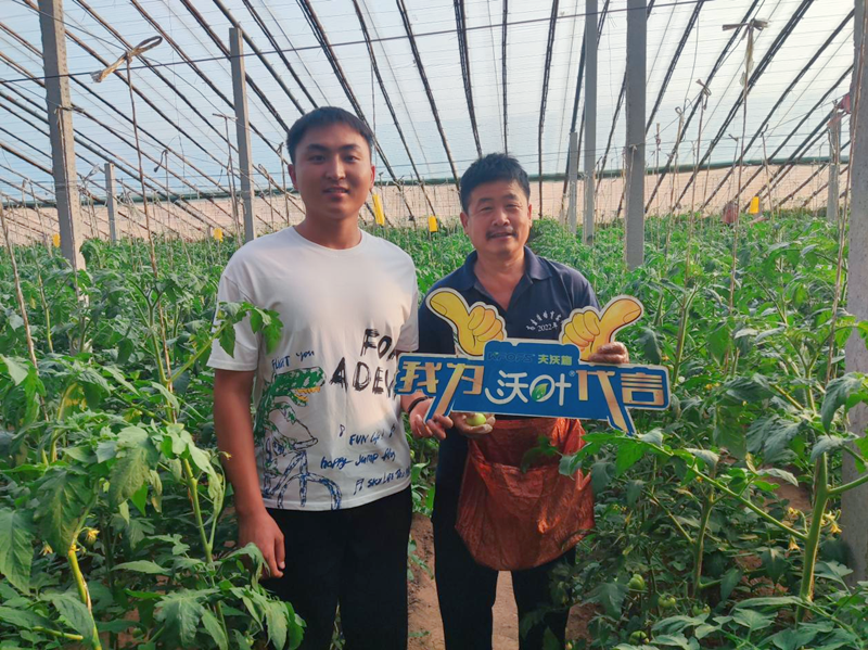 改良土壤用哪款水溶肥好？
