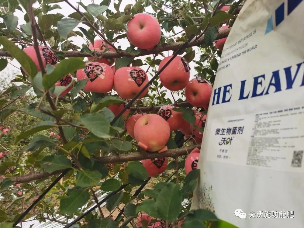 什么肥料能讓土壤變松？