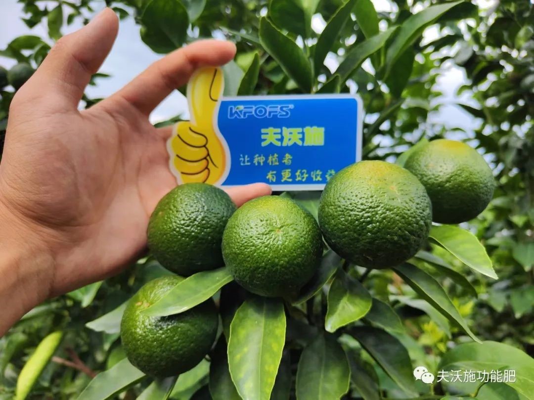 改善土壤板結(jié)用什么肥料？
