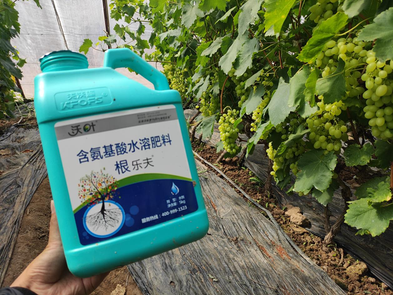 水溶肥選擇，要注意什么?