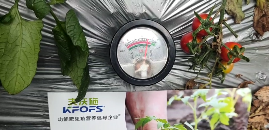 微生物菌劑，為什么被越來越多的人選擇？