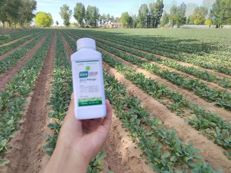 除草劑藥害怎么辦？安法戈來解決！