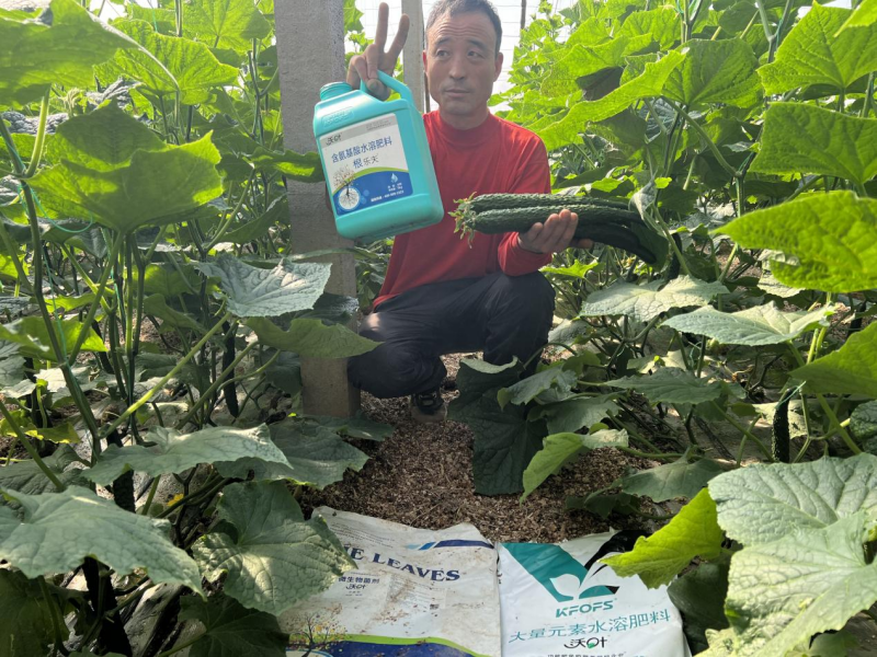 種植蔬菜用什么肥料最好？兩個解決，兩個方案