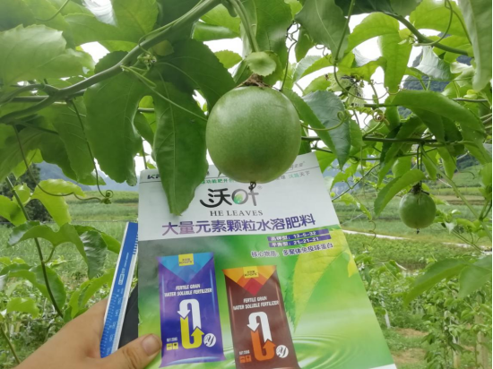顆粒水溶肥品牌，跟著這樣選！