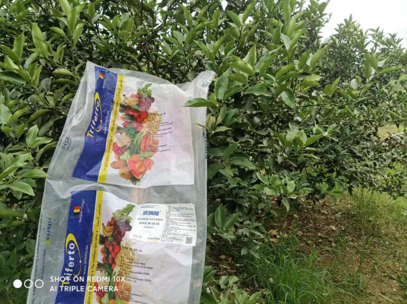 水溶肥效果好不好？榮大姐告訴你