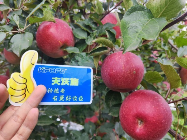 微生物菌劑，作物增產(chǎn)的“敲門磚”