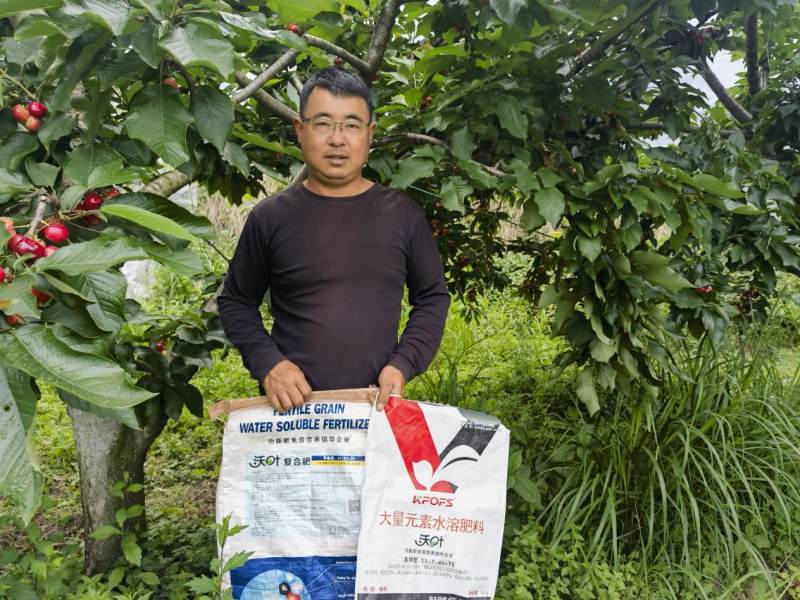 果樹栽培技術之怎樣施肥效果好?