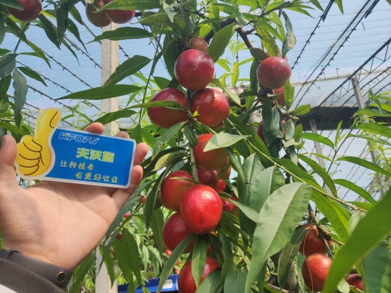 微生物菌劑的作用，你真的了解嗎？
