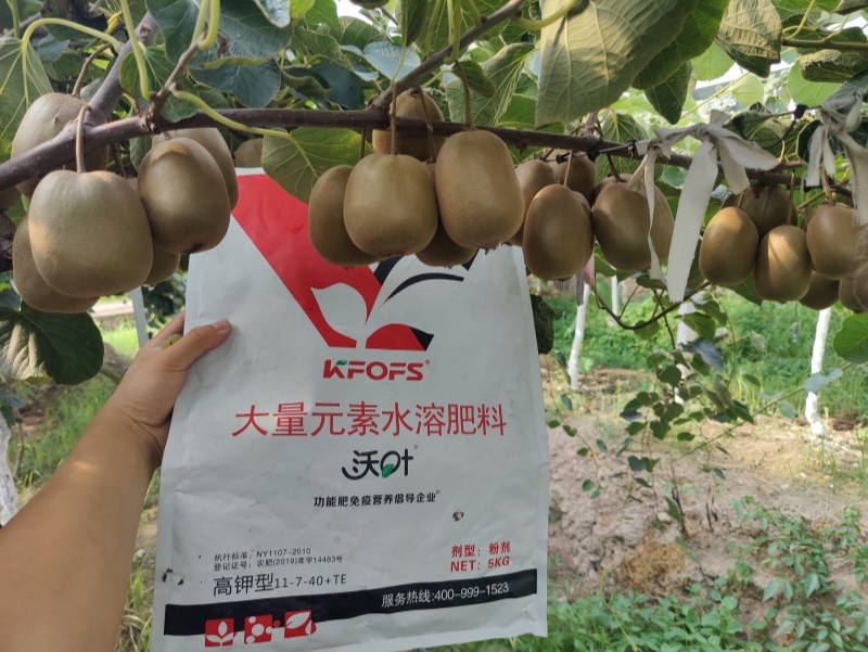 獼猴桃施肥用什么肥料？