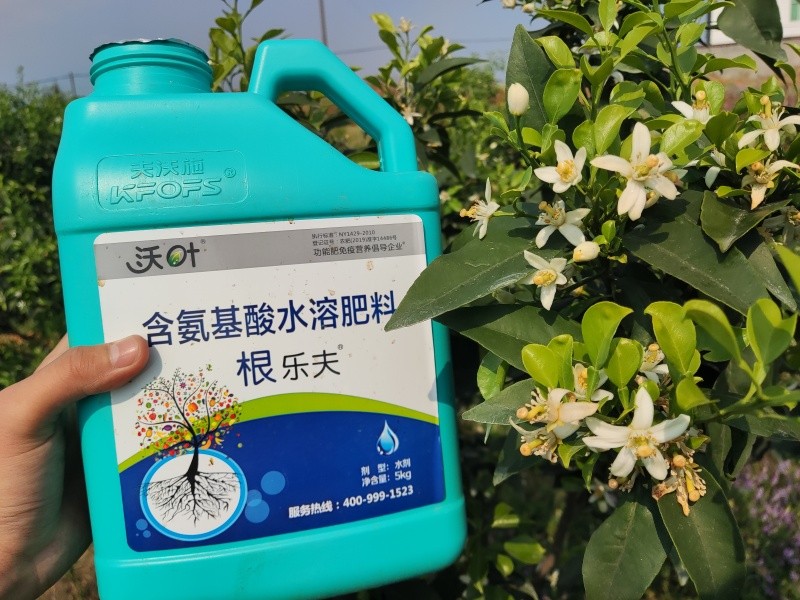 生根劑選哪個(gè)？