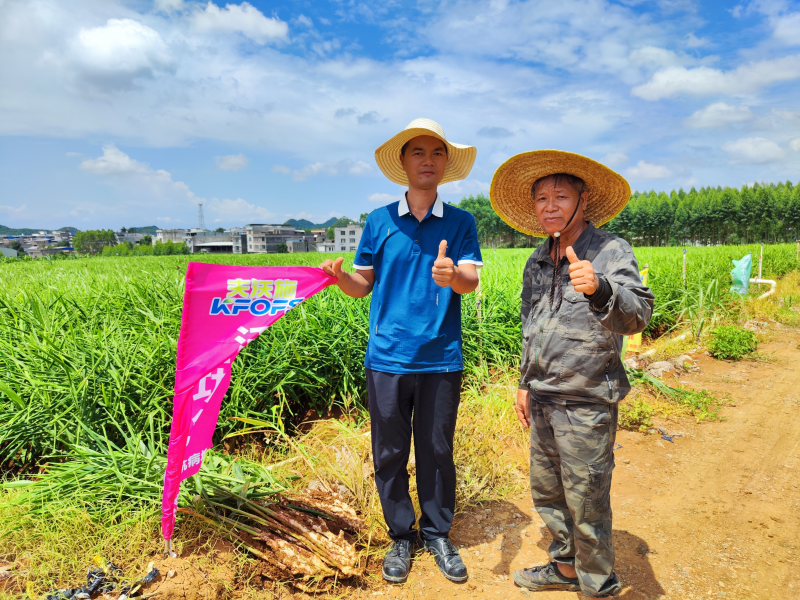 生根劑不能錯(cuò)過(guò)的3個(gè)時(shí)期，你知道嗎？