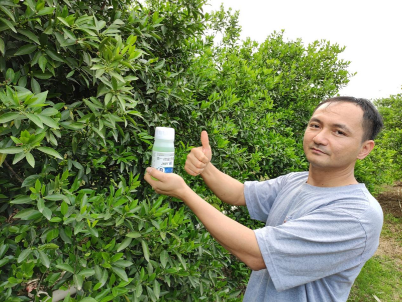 柑橘用什么肥料好？