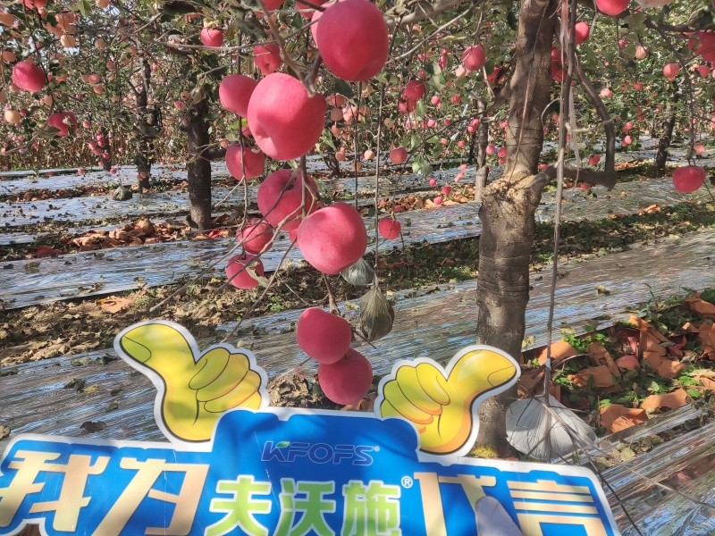 葉面肥你會用嗎？