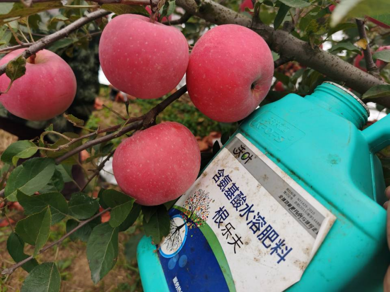 生根劑哪個牌子好？