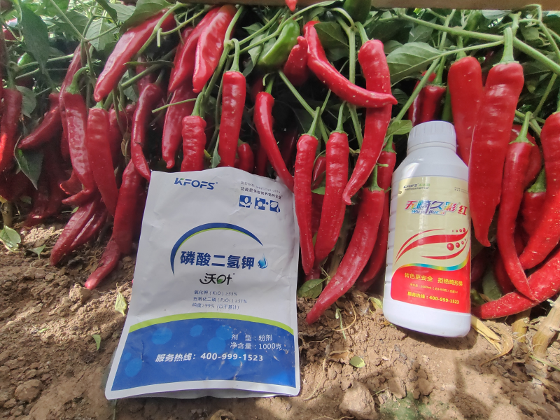 磷酸二氫鉀是葉面肥嗎？